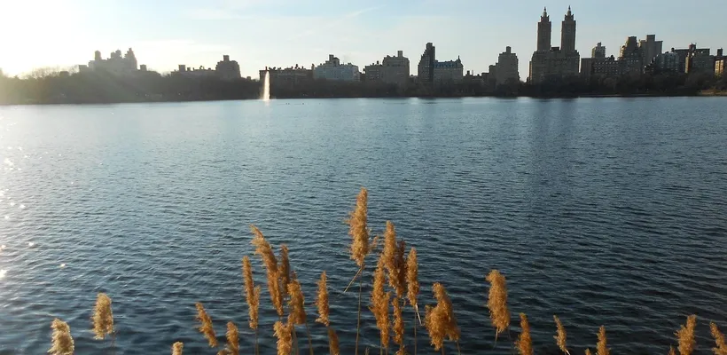 Jacky’sssss en Kiestoneeee Jacky’sssss en Kiestoneeee