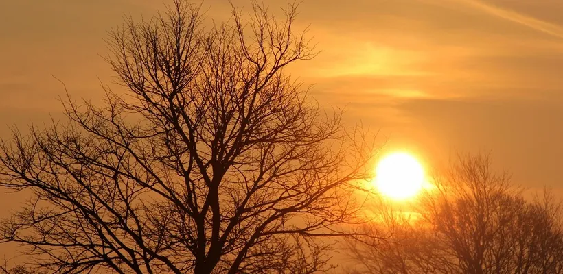 Good morning?. …