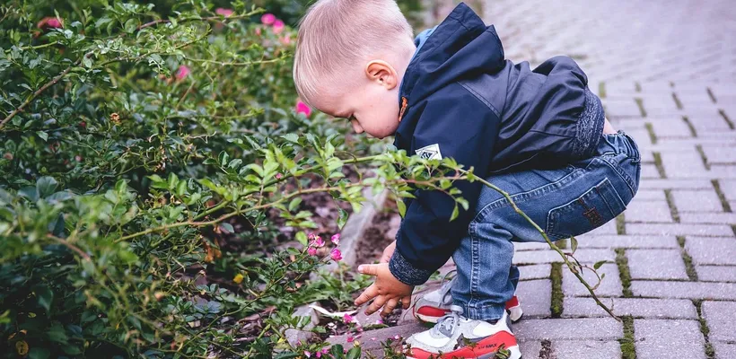 Ook de jonge oudere slagen bij Ckidz??