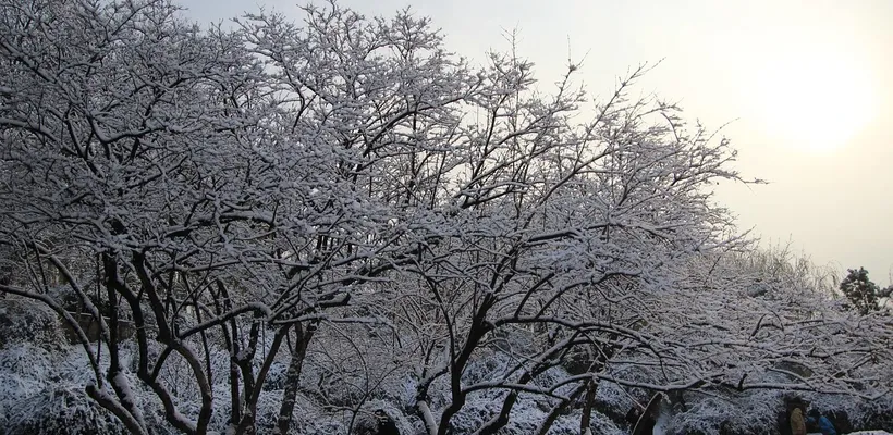 Laat de winter maar komen ❄️. …
